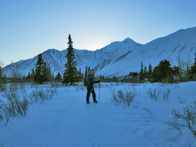 Auriol Trail | Yukon's Hiking Guide | yukonhiking.ca